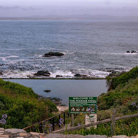 Goozi Garden Cottage Hermanus Exterior foto
